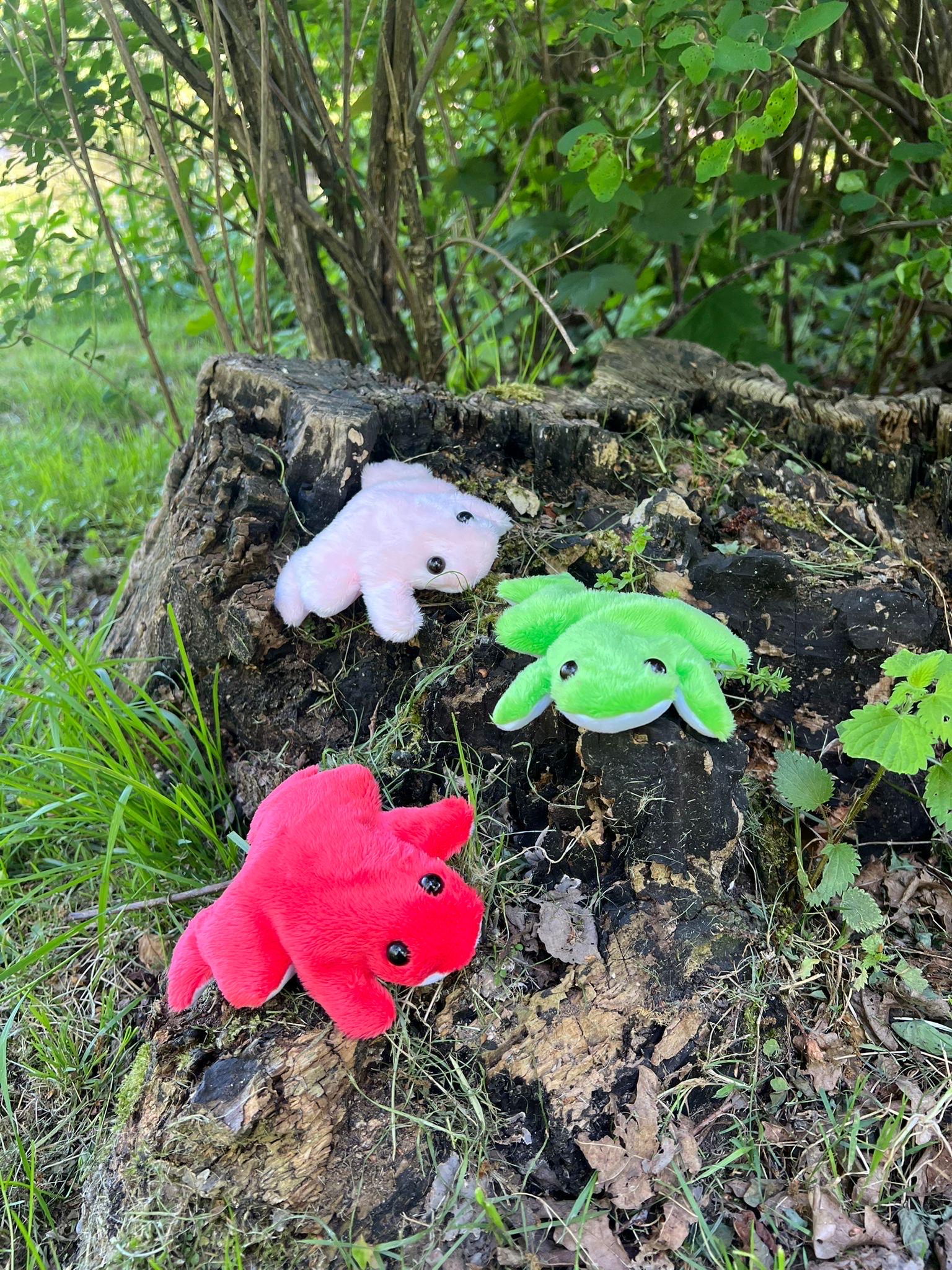 Glücksbringer,Anti Stress Frosch, Sensory Plüsch, Sensory toy, Plüschfreund,Angststörung