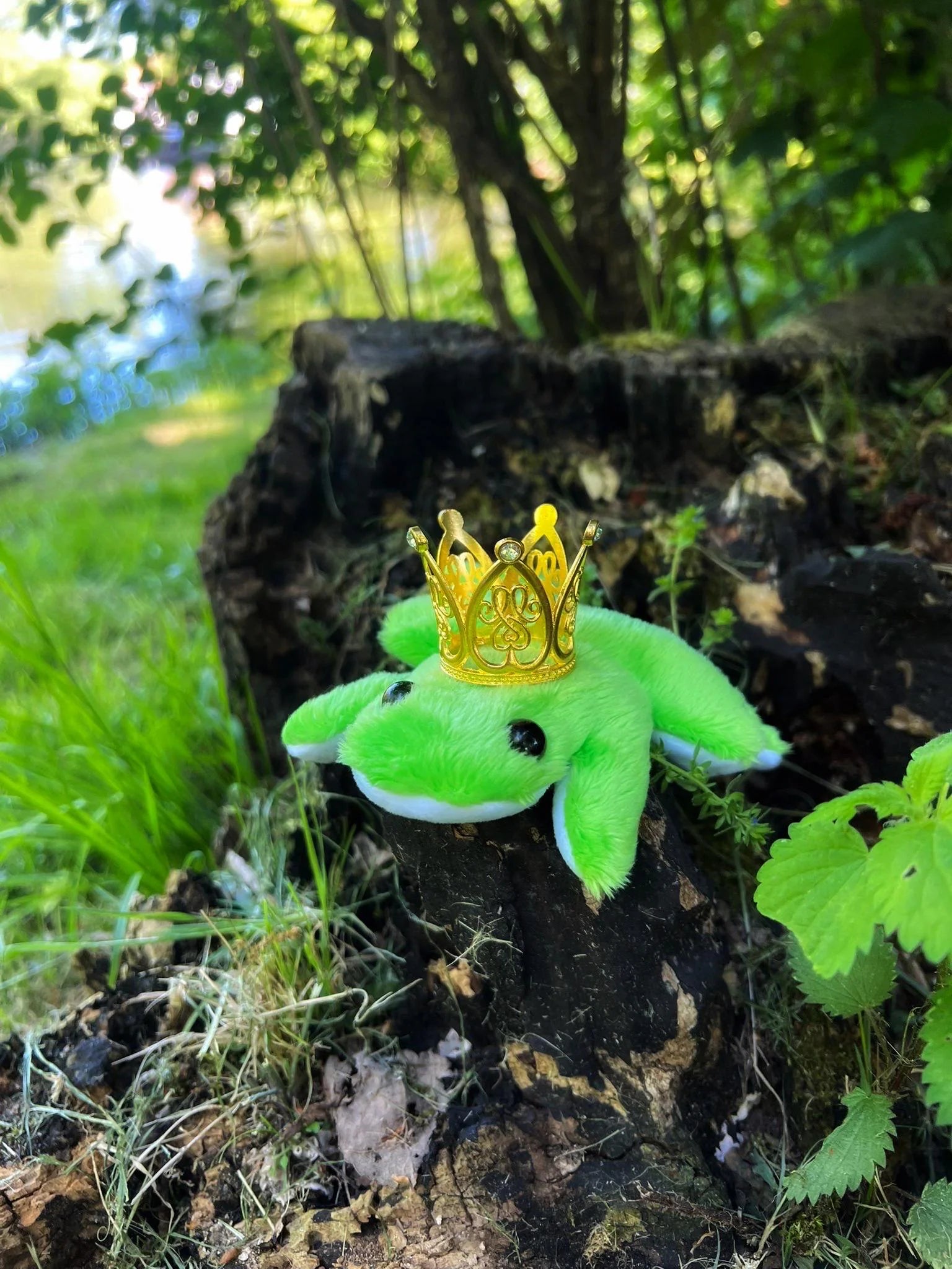 Glücksbringer,Anti Stress Frosch, Sensory Plüsch, Sensory toy, Plüschfreund,Angststörung