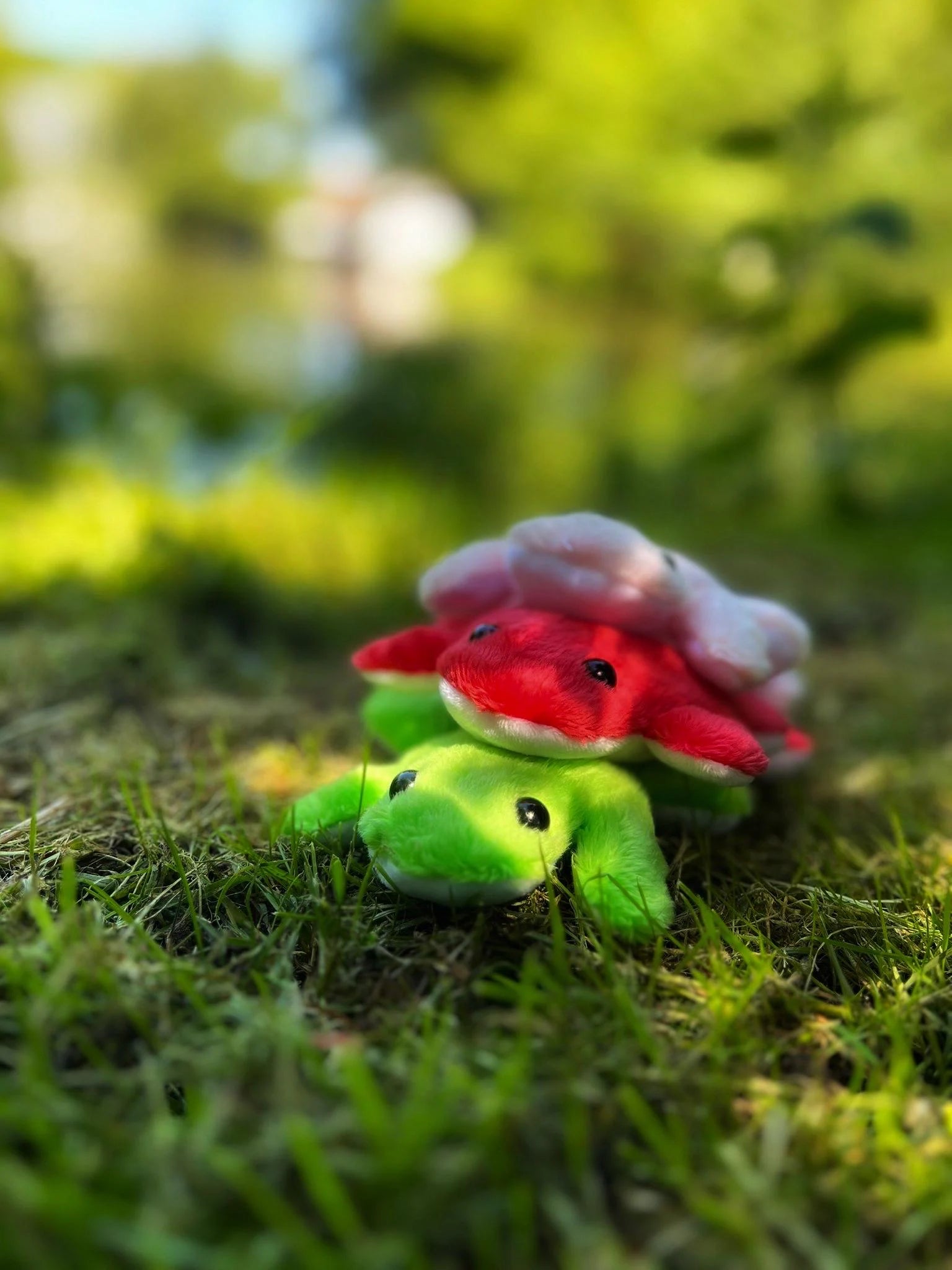 Glücksbringer,Anti Stress Frosch, Sensory Plüsch, Sensory toy, Plüschfreund,Angststörung