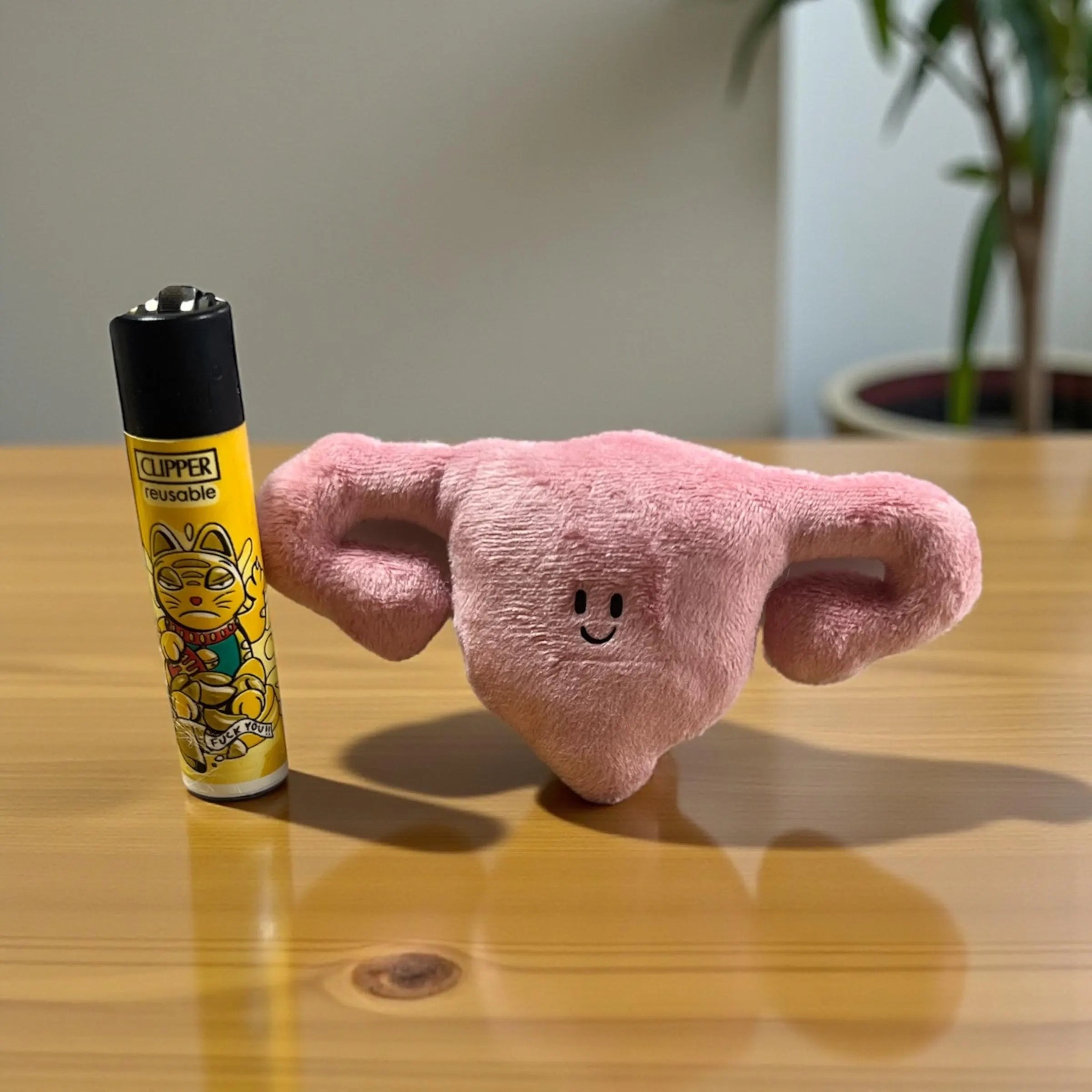 Mini Uterus, emotional support, Glücksbringer, Mutmacher, Geschenk